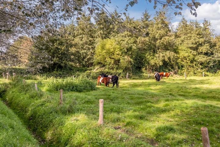 Bekijk foto 58 van Zuidewijn 56