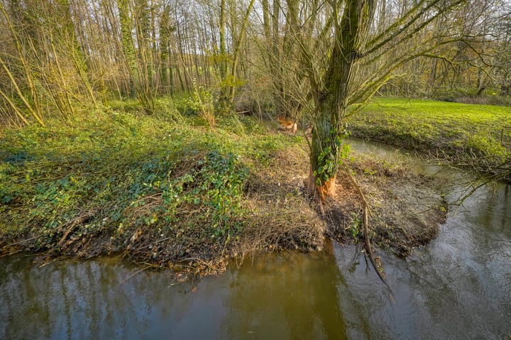 Foto 25 van Beutenaken 40