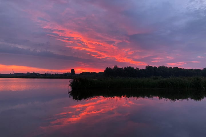 Bekijk foto 51 van Nachtlân 12