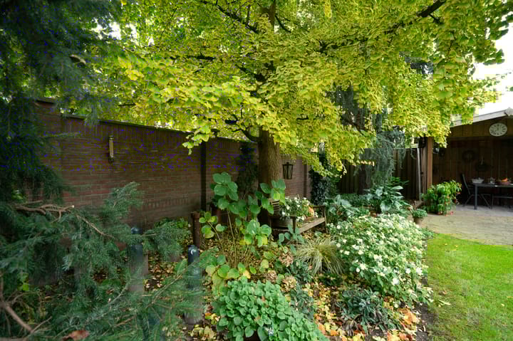 Foto 53 van Boterbloemstraat 10