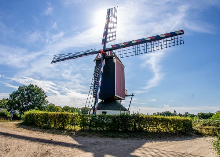 Foto 67 van Boterbloemstraat 10