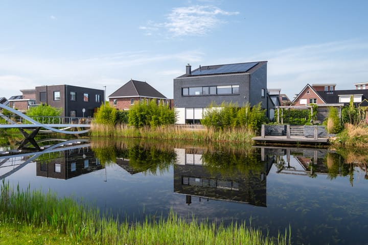 Foto 1 van Bosanemoon 9