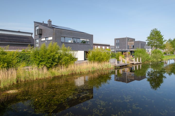 Foto 4 van Bosanemoon 9