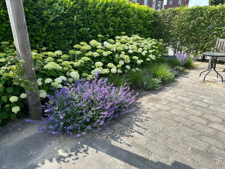 Foto 54 van Bosanemoon 9