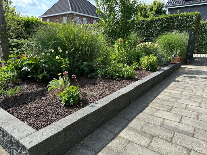 Foto 55 van Bosanemoon 9