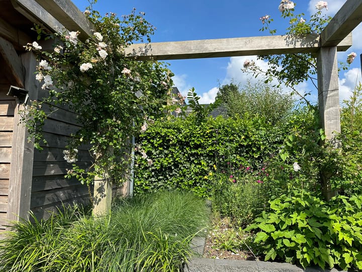 Foto 58 van Bosanemoon 9