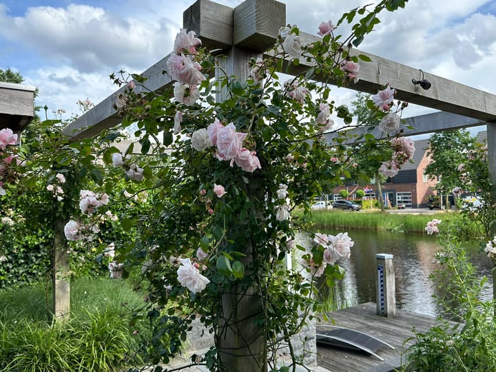 Foto 63 van Bosanemoon 9