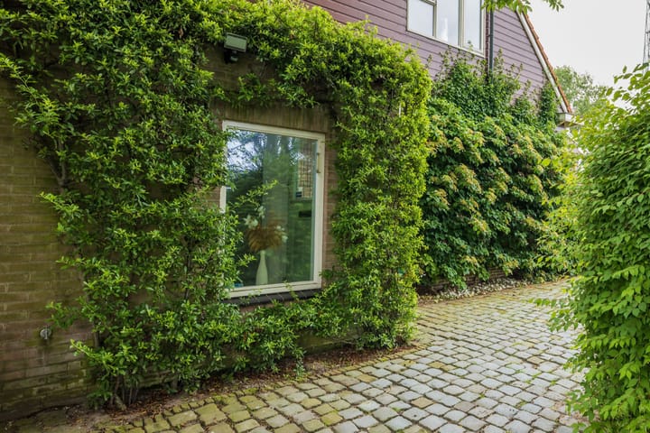 Foto 6 van Zijldijk 30