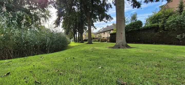 Photo 5 of Pinksterbloem 8