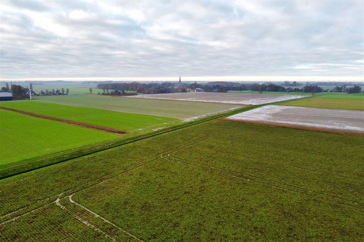 Bekijk foto 42 van Witherenweg 22