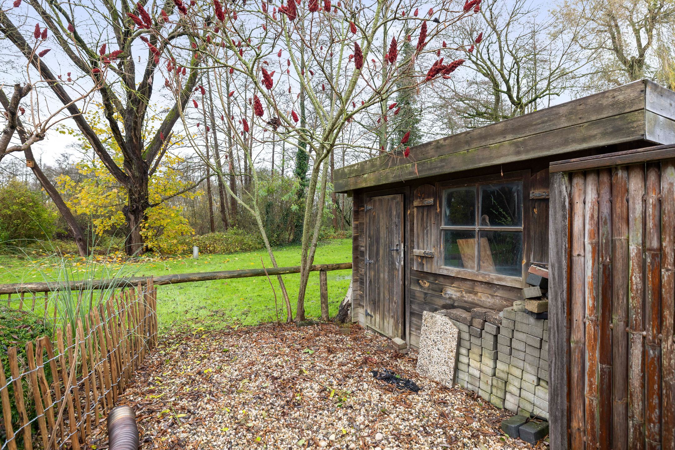 Photo 24 of Rijksstraatweg 136