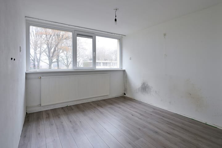 Foto 16 van Danackers 62