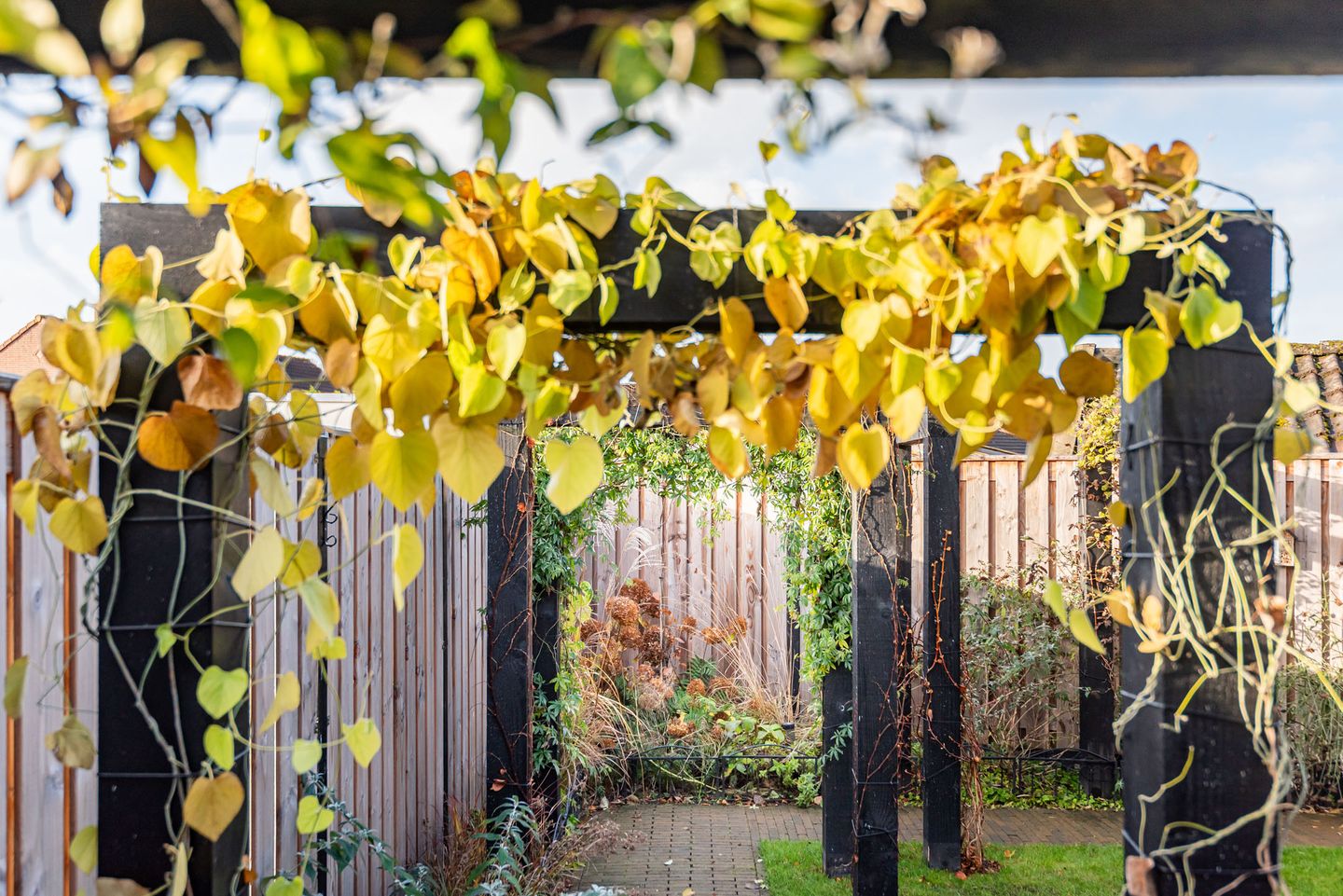 Foto 35 van Prins Bernhardstraat 5