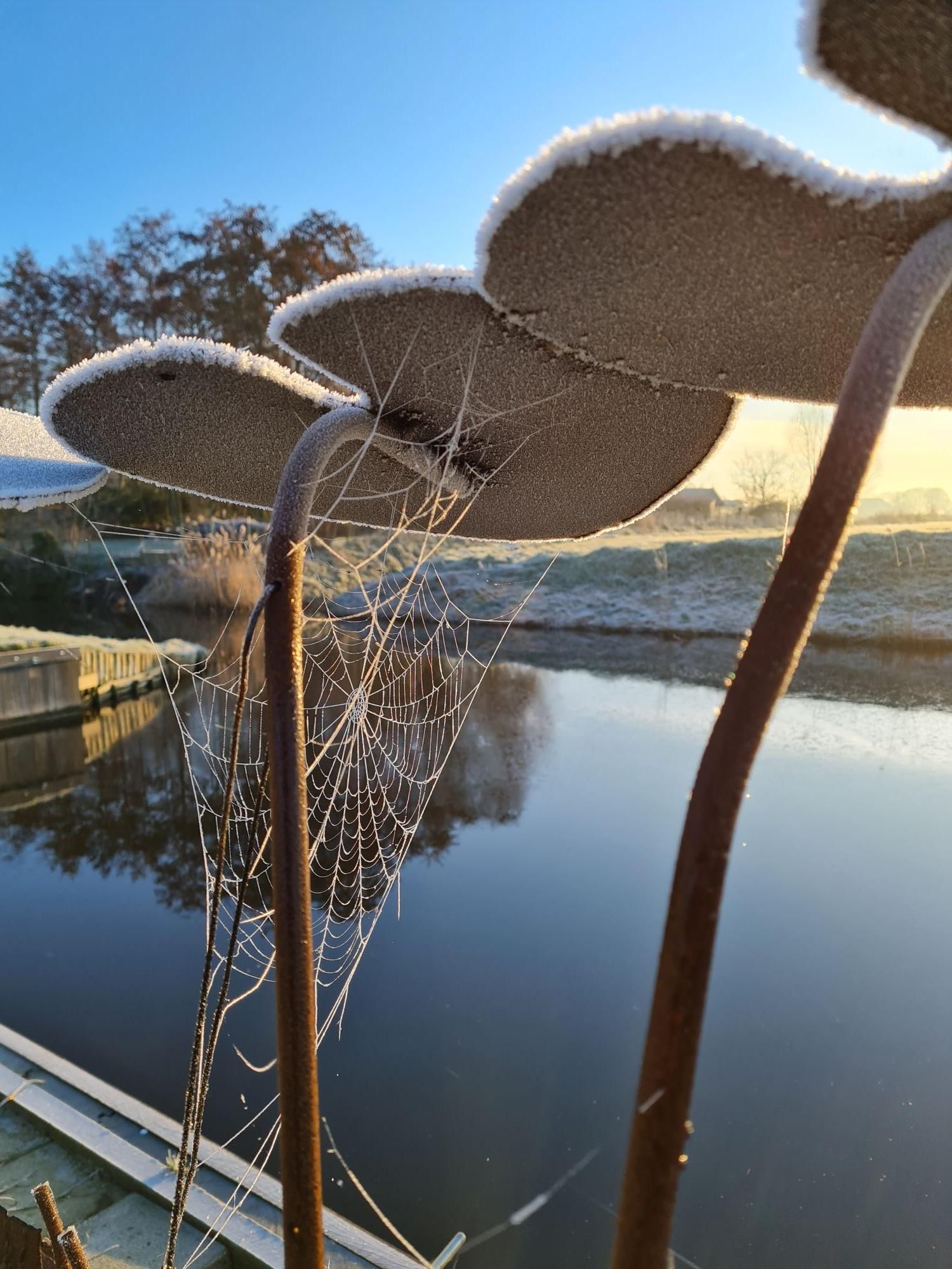 Foto 99 van Haven 32