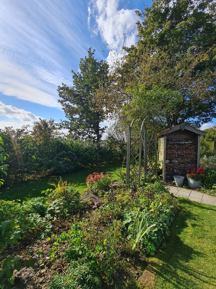 Foto 106 van Haven 32