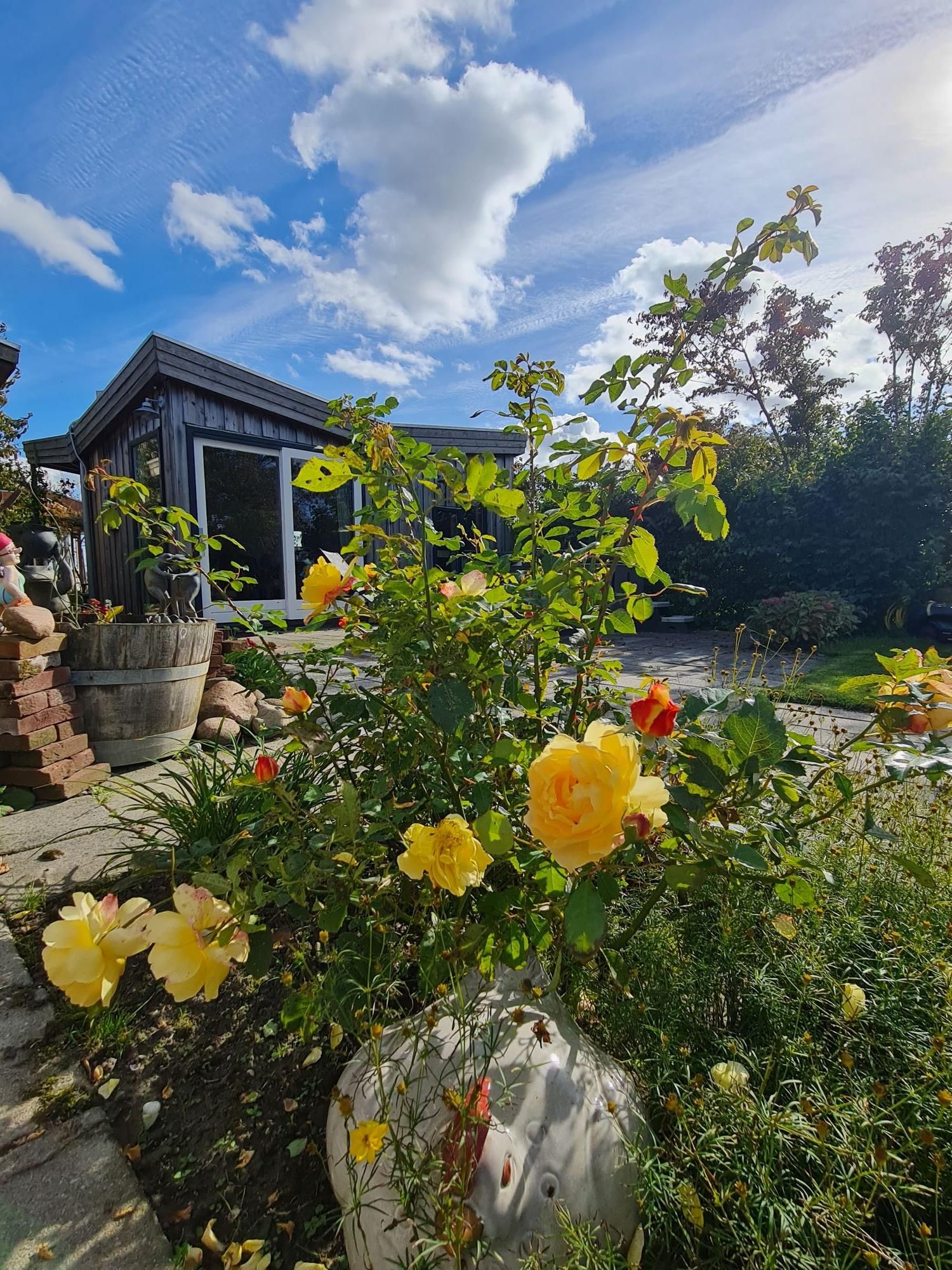 Foto 108 van Haven 32