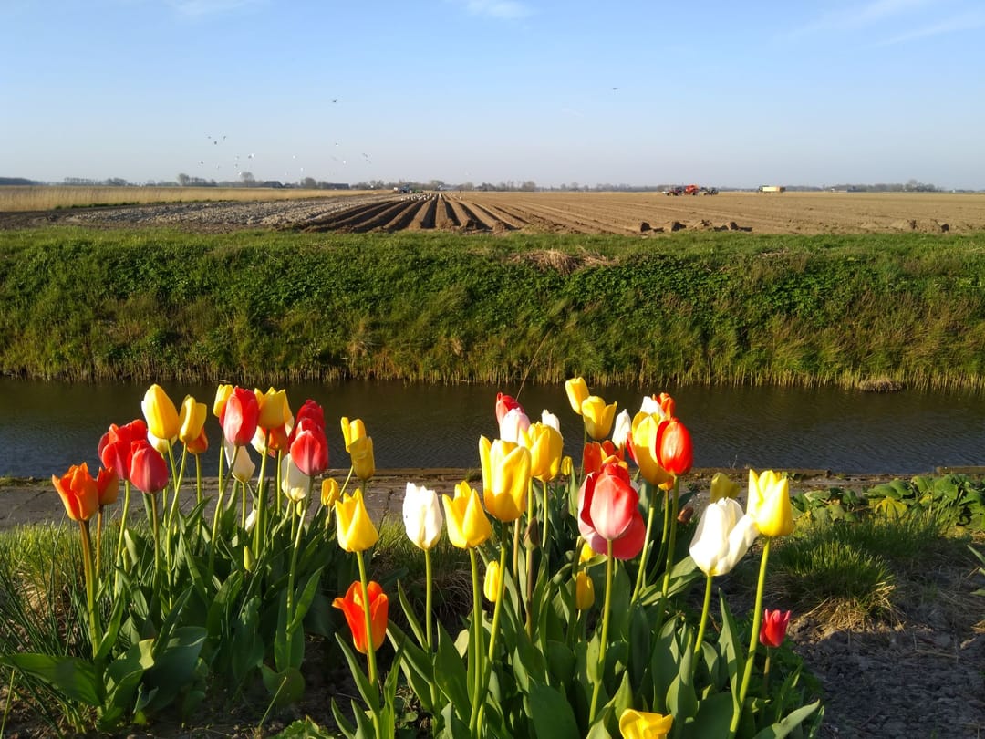 Foto 113 van Haven 32