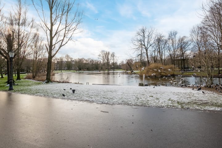 Foto 18 van Von Zesenstraat 247