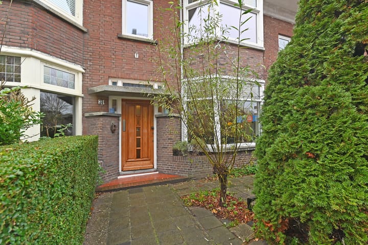 Foto 2 van Druivenstraat 31