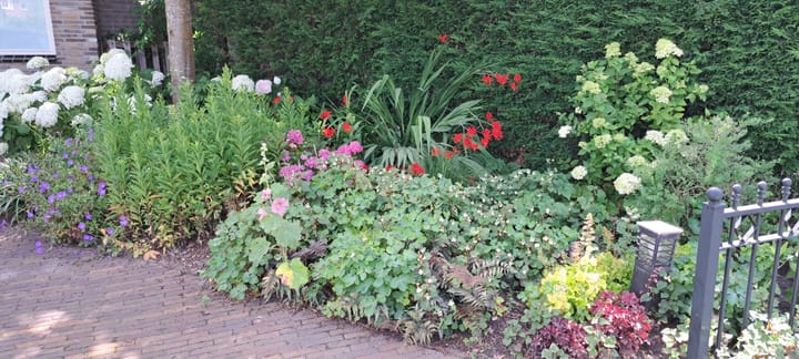 Foto 82 van Korte Cieweg 2