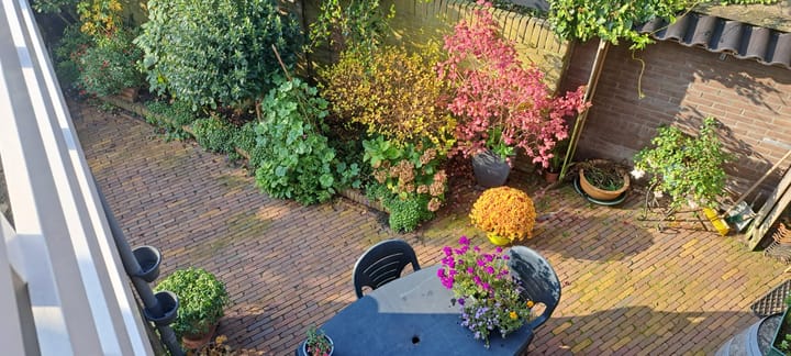 Foto 83 van Korte Cieweg 2