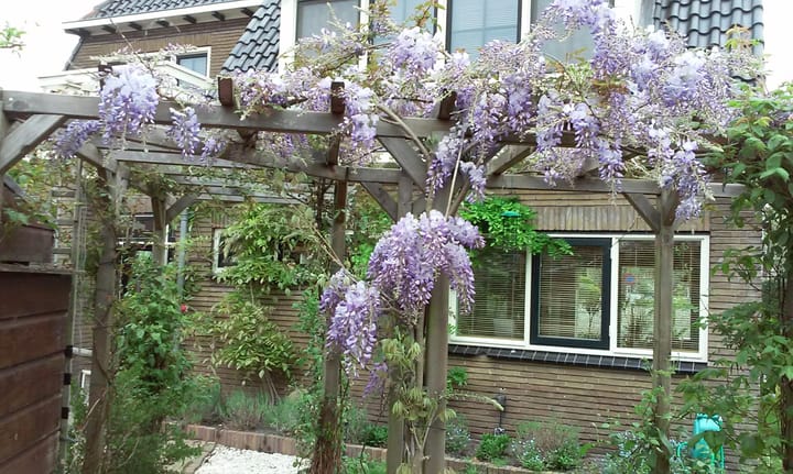 Foto 86 van Korte Cieweg 2