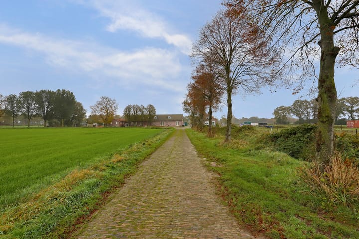 Foto 7 van Koestraat