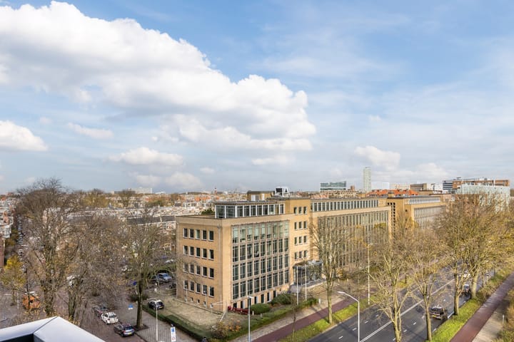 Foto 5 van Stadhoudersplantsoen 244-F