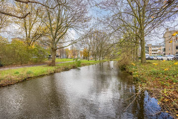 Bekijk foto 6 van Stadhoudersplantsoen 244-F