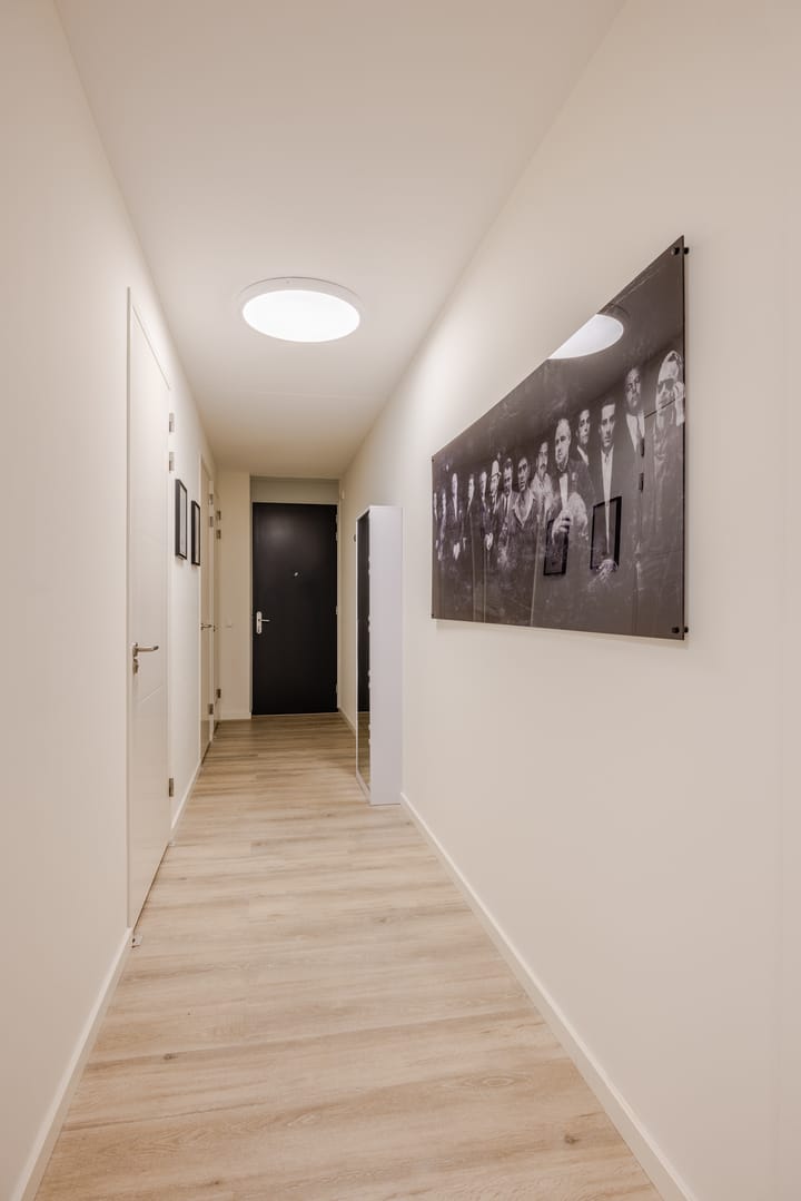 Foto 17 van Stadhoudersplantsoen 244-F