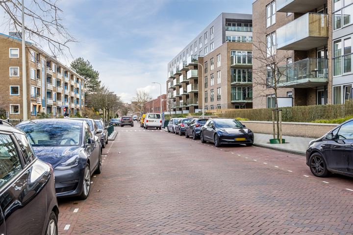 Bekijk foto 30 van Stadhoudersplantsoen 244-F