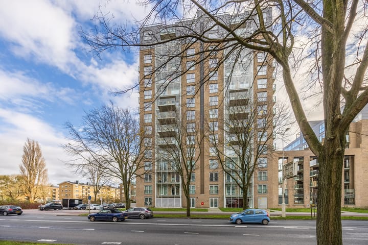 Foto 32 van Stadhoudersplantsoen 244-F