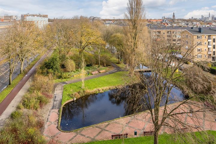 Bekijk foto 33 van Stadhoudersplantsoen 244-F