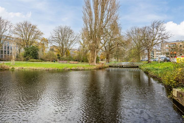 Bekijk foto 34 van Stadhoudersplantsoen 244-F