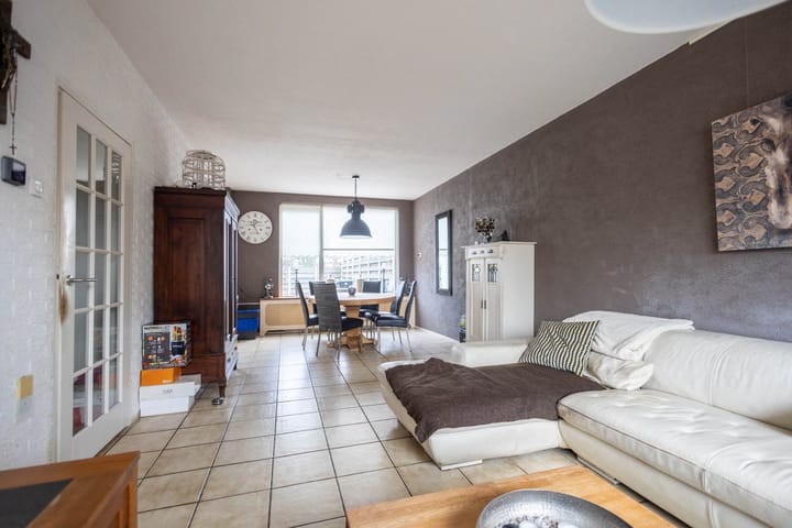 Foto 2 van Schorpioen 16