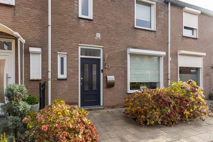 Foto 2 van Vossenleen 47