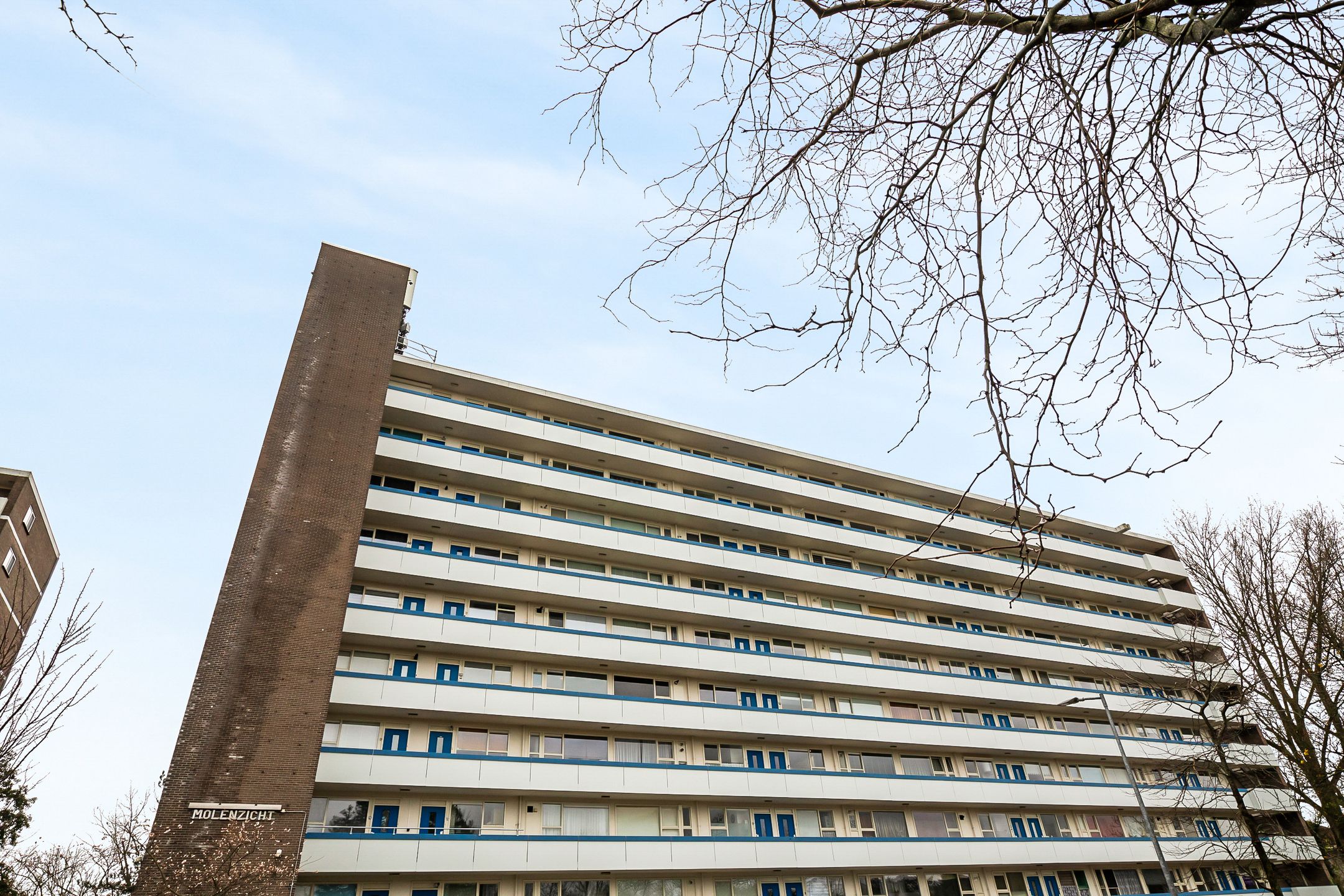 Foto 6 van Honthorstlaan 136