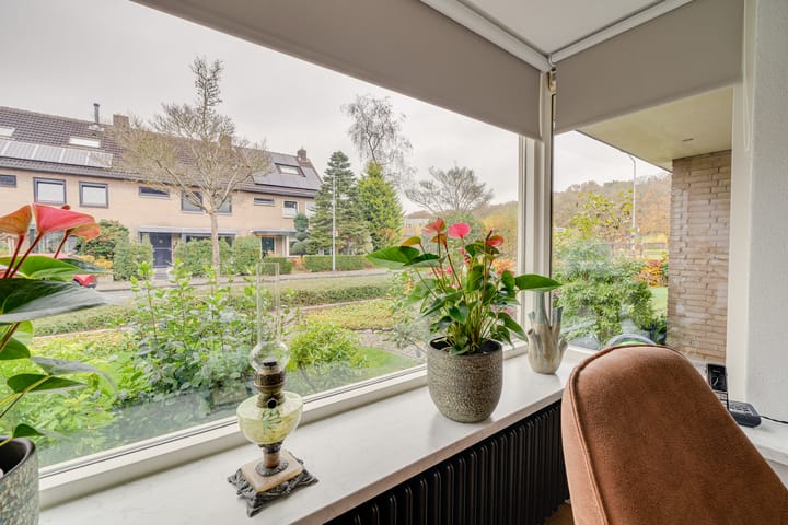 Foto 13 van Europalaan 3