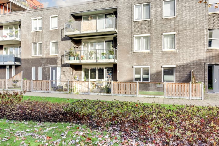 Foto 42 van De Pionier 18