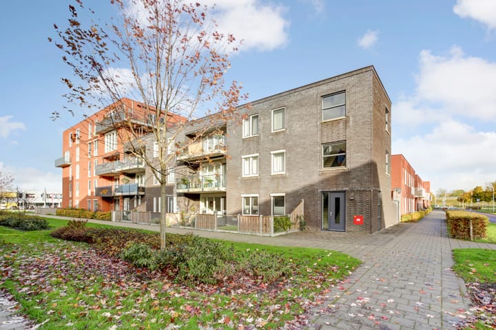 Foto 43 van De Pionier 18