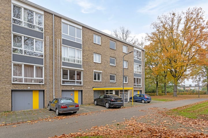 undefined main image