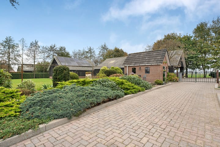 Foto 9 van Hammerflier 8-A