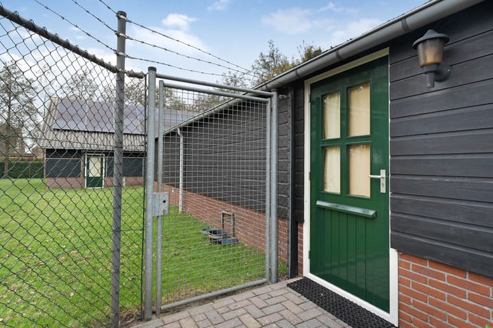 Foto 43 van Hammerflier 8-A