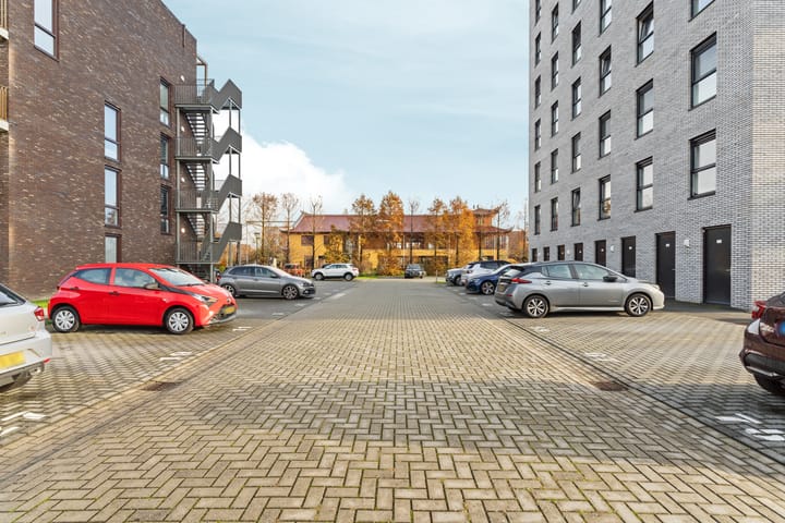 Foto 5 van Borneostraat 51