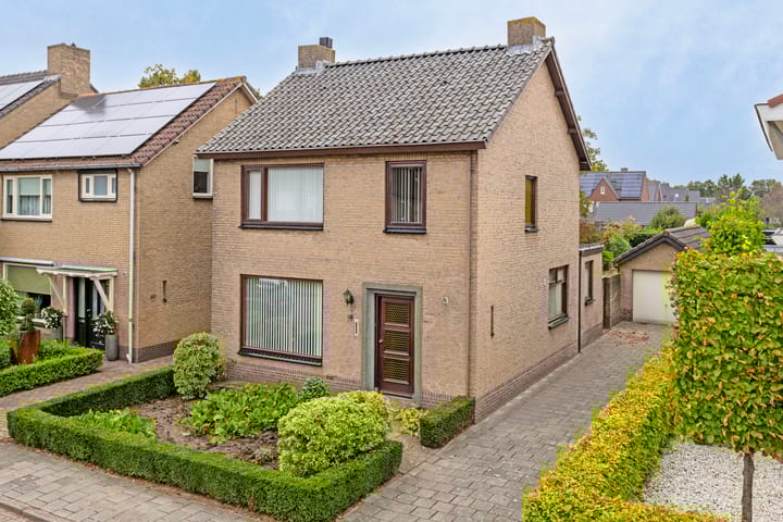 undefined main image