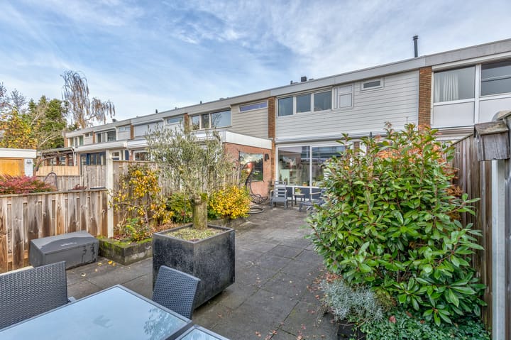 Foto 16 van Frans Halsstraat 25