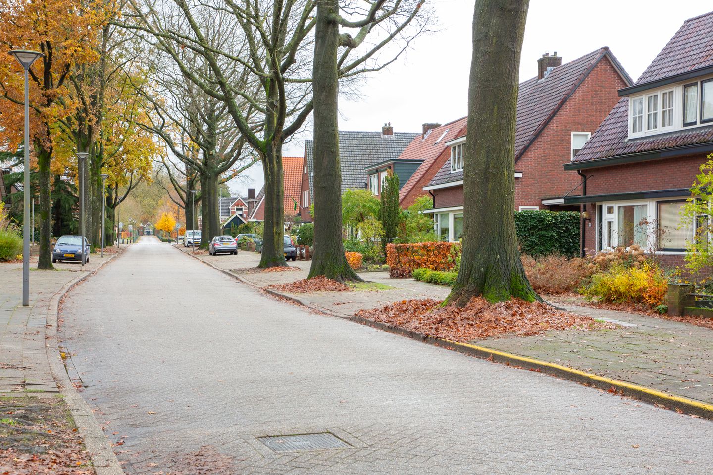 Foto 50 van Burgemeester van Nispenstraat 17