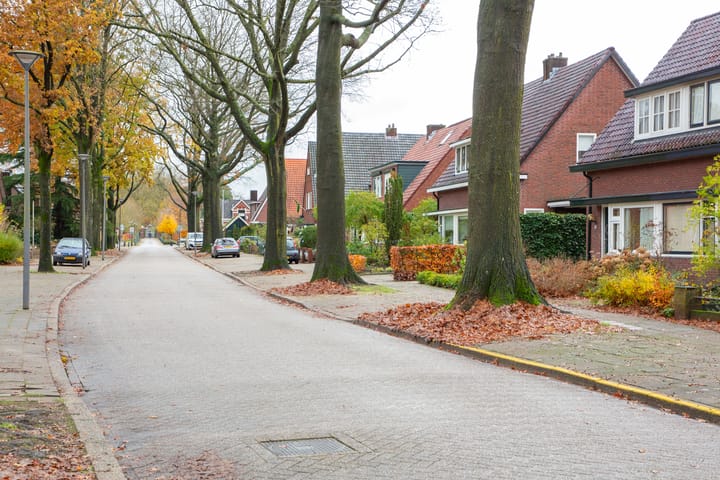 Foto 50 van Burgemeester van Nispenstraat 17