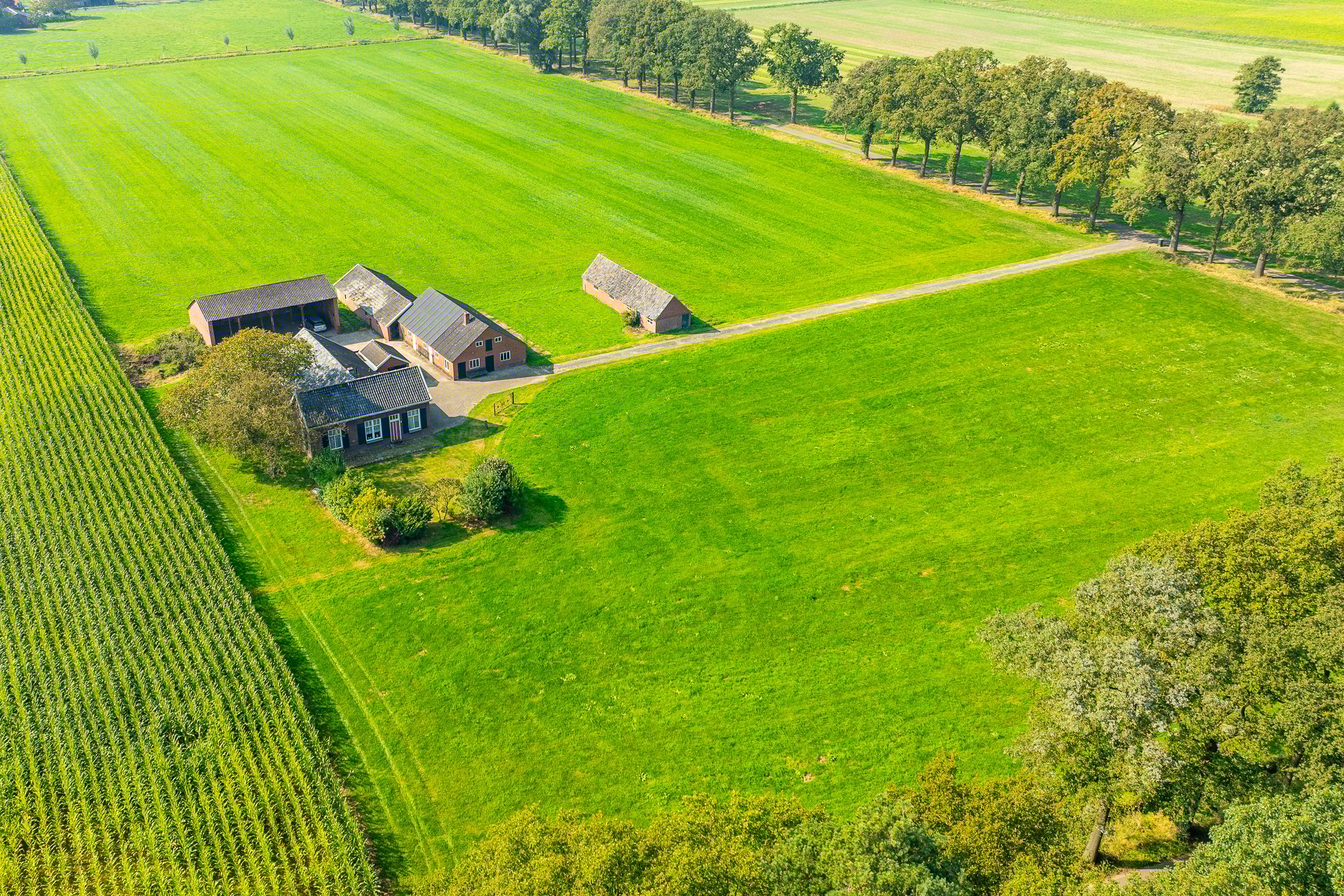 Foto 3 van Toldijk 4