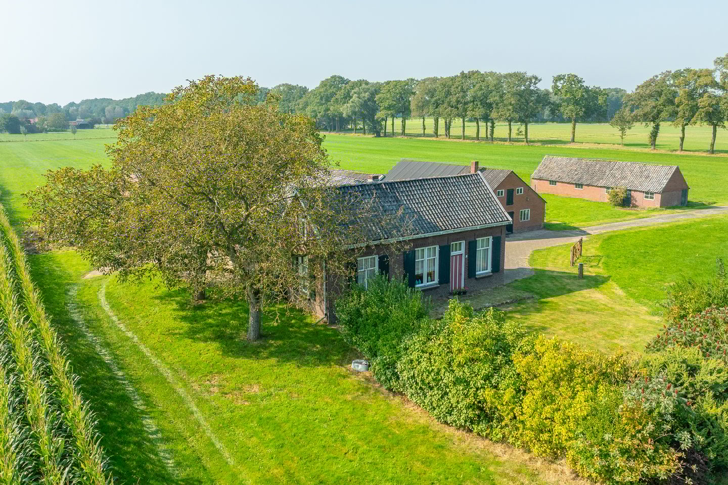 Foto 4 van Toldijk 4